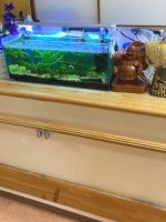 ホームステーションらいふ海老名