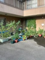 学研ココファン深江橋