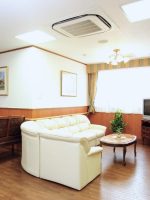 アムール平野