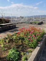 チャーム やまとこおりやま