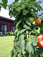 シニアライフ白岩