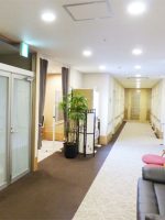 チャーム 奈良公園