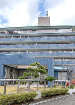 ライフケア カリタスみわ