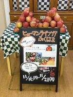 ヒューマンライフケアふくはま