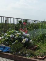 介護老人保健施設 ミレニアムマッシーランド