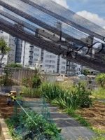 介護老人保健施設 ホスピア三軒茶屋