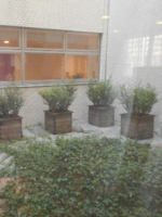 介護老人保健施設 ふれあいの町田