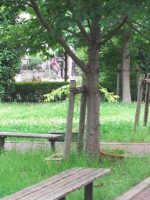 介護老人保健施設 きよせ認知症ケアセンター